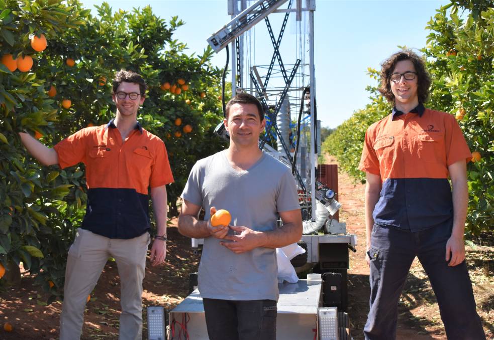 Ripe Robotics prototype 'Clive' visits Griffith orange orchard